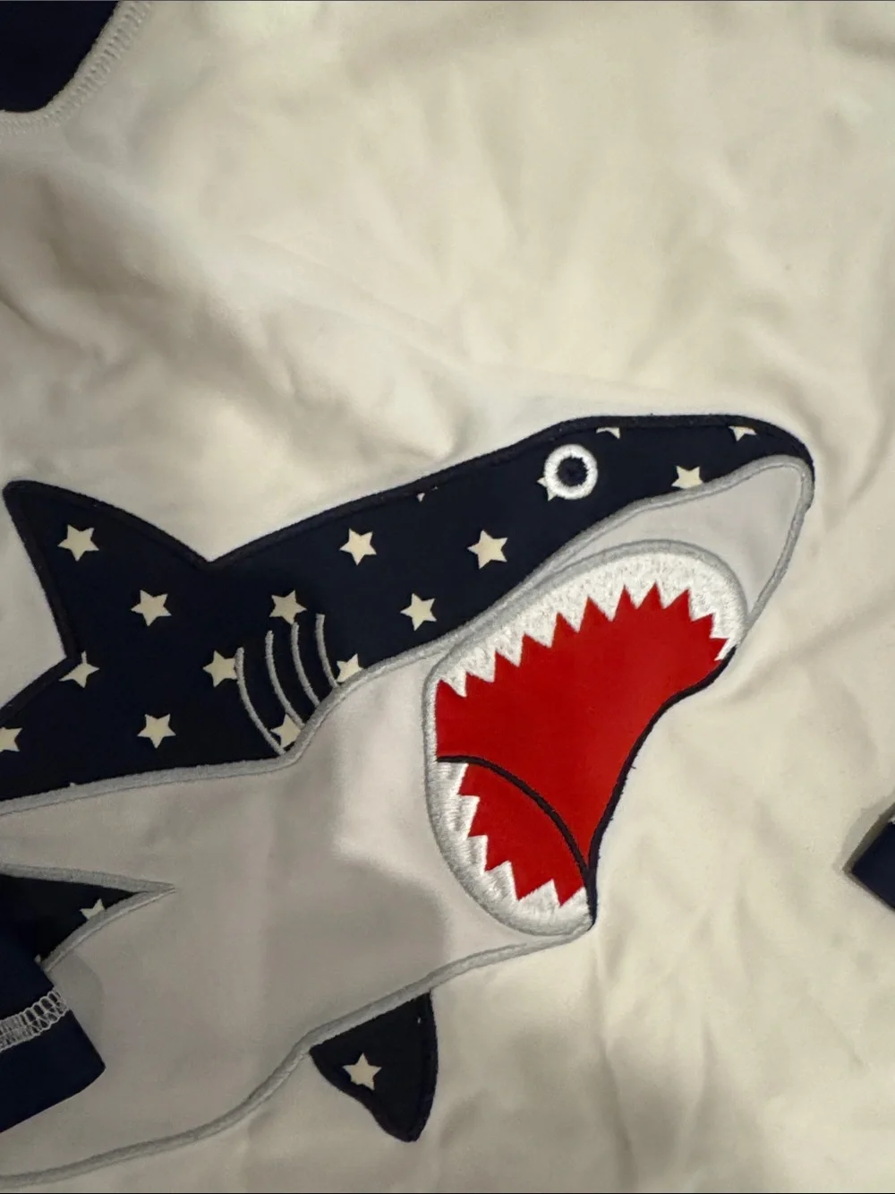 Patriotic shark swim trunks and rash guard